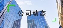 公司动态
